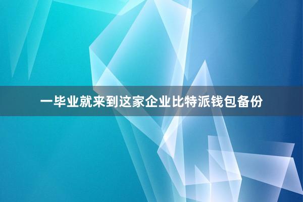 一毕业就来到这家企业比特派钱包备份