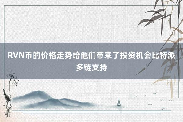 RVN币的价格走势给他们带来了投资机会比特派多链支持