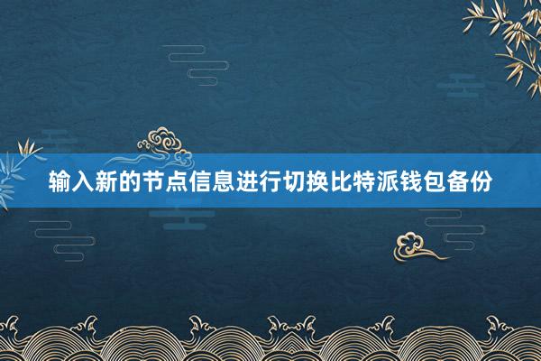 输入新的节点信息进行切换比特派钱包备份