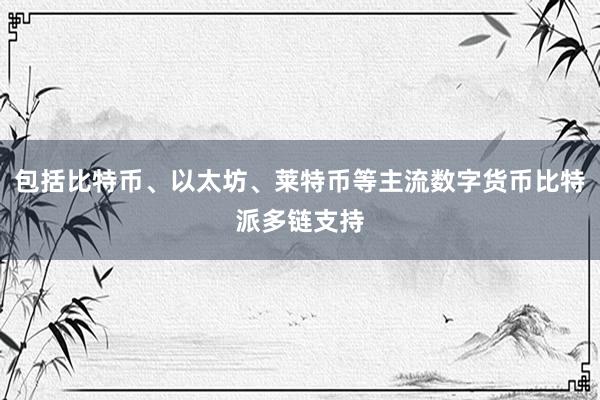 包括比特币、以太坊、莱特币等主流数字货币比特派多链支持