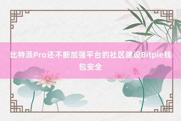 比特派Pro还不断加强平台的社区建设Bitpie钱包安全