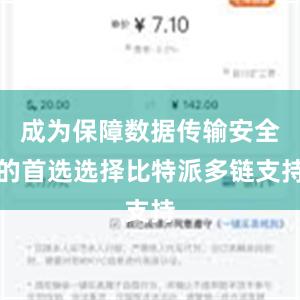 成为保障数据传输安全的首选选择比特派多链支持