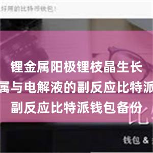 锂金属阳极锂枝晶生长以及锂金属与电解液的副反应比特派钱包备份