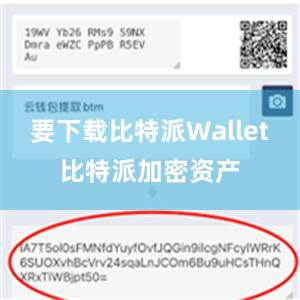 要下载比特派Wallet比特派加密资产